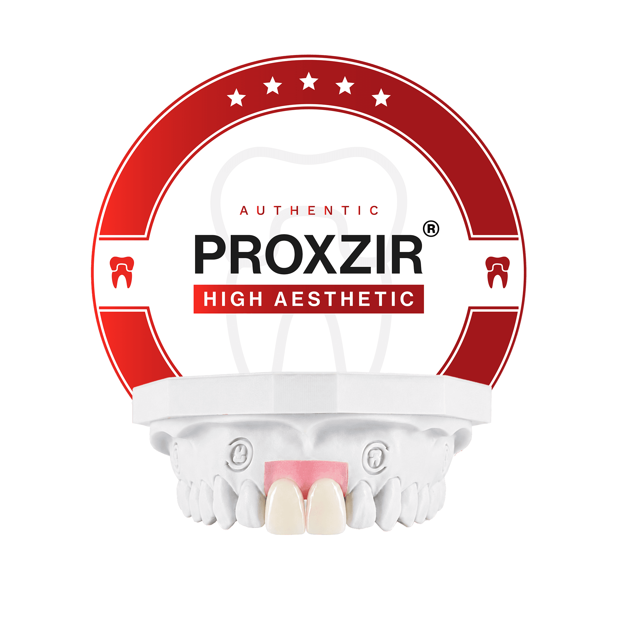 ProXzir crowns with facial porcelain on the two upper central incisors of an arch model