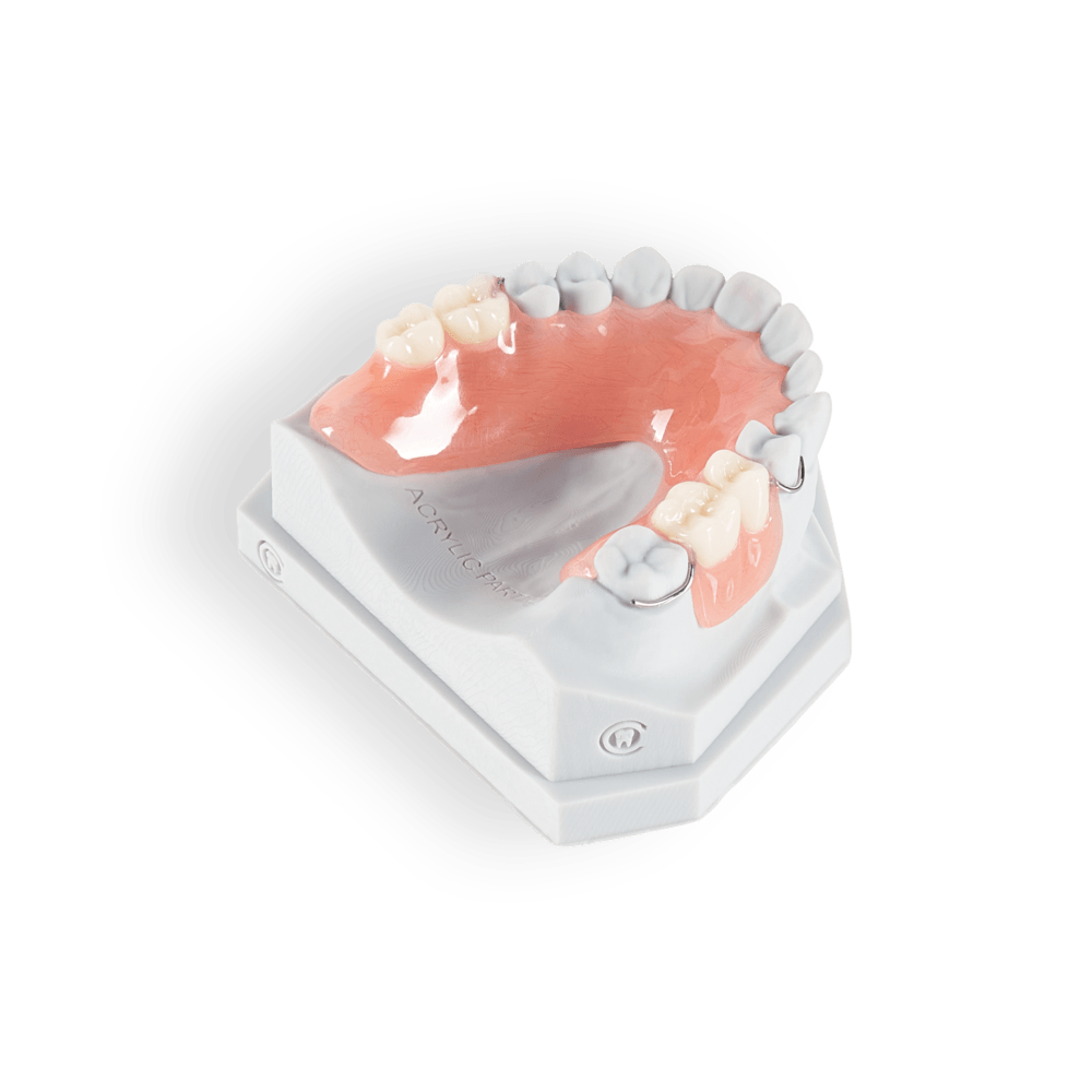 Partial denture
