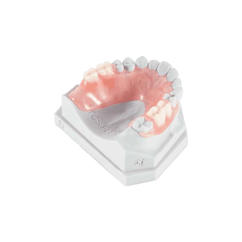 Standard Denture Repair