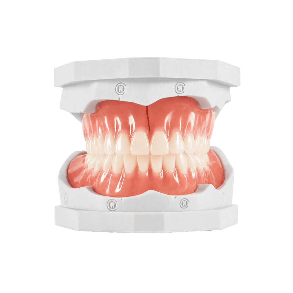 Denture Reset
