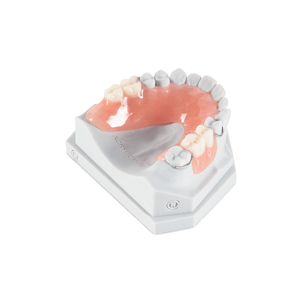 Partial denture